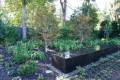 Las Olas Fountain Luxury Landscaping