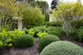 Vista_Verde_Atheron_Luxury_Landscape_Design_services_Company (5)