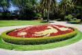 Taj_Palace_Petrus_Luxury_Landcape_Design_Company_Project (3)