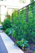 Las Olas_Atherton_Luxury_Landscape_Design_Company_Bay_Area_3_Gallery