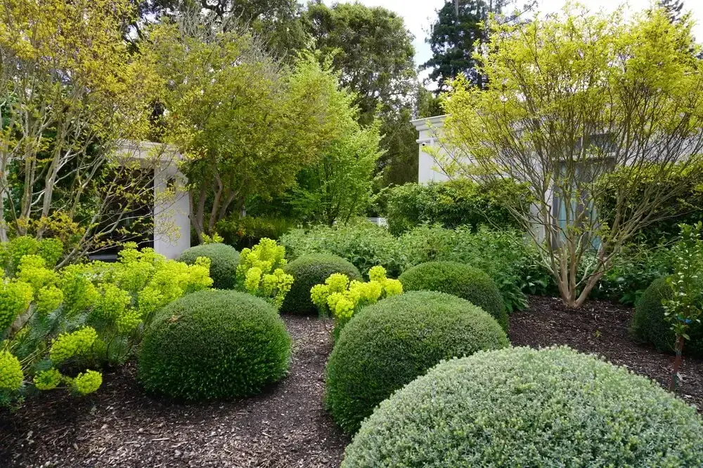 well-manicured garden with a variety of plants and shrubs