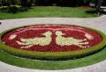 Taj_Palace_Petrus_Luxury_Landcape_Design_Company_Project (4)