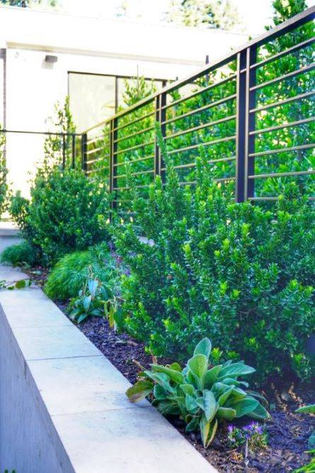 Las Olas Atherton Luxury Landscape Design Project