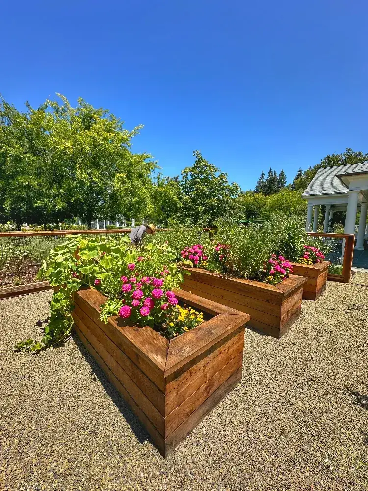 flower beds in estate landscape bay area
