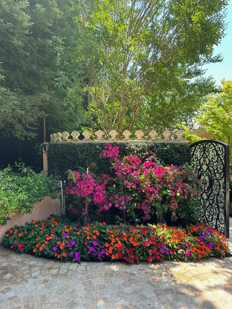 colorful flowers near entry gate